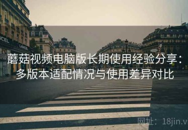 蘑菇视频电脑版长期使用经验分享：多版本适配情况与使用差异对比
