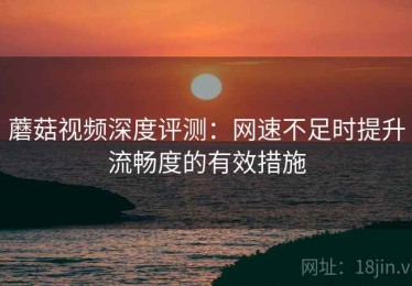 蘑菇视频深度评测：网速不足时提升流畅度的有效措施