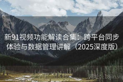 新91视频功能解读合集：跨平台同步体验与数据管理讲解（2025深度版）