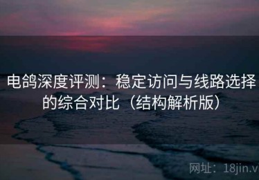 电鸽深度评测：稳定访问与线路选择的综合对比（结构解析版）