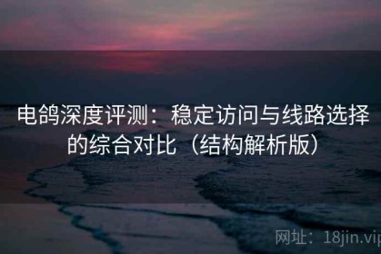 电鸽深度评测：稳定访问与线路选择的综合对比（结构解析版）
