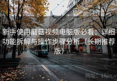 新手使用蘑菇视频电脑版必看：详细功能拆解与操作步骤分析（长期推荐版）