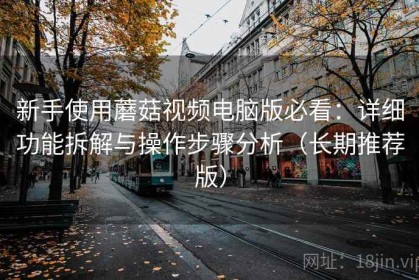 新手使用蘑菇视频电脑版必看：详细功能拆解与操作步骤分析（长期推荐版）