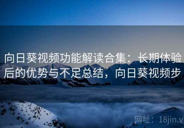 向日葵视频功能解读合集：长期体验后的优势与不足总结，向日葵视频步