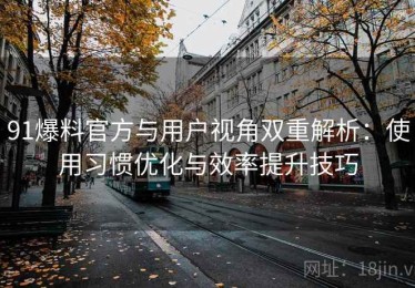 91爆料官方与用户视角双重解析：使用习惯优化与效率提升技巧