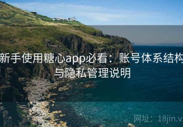 新手使用糖心app必看：账号体系结构与隐私管理说明