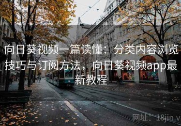 向日葵视频一篇读懂：分类内容浏览技巧与订阅方法，向日葵视频app最新教程