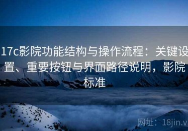 17c影院功能结构与操作流程：关键设置、重要按钮与界面路径说明，影院标准
