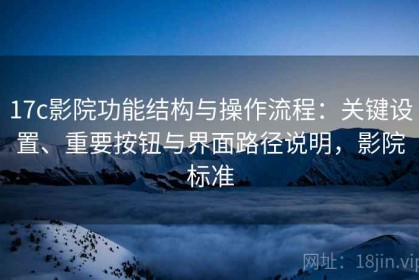 17c影院功能结构与操作流程：关键设置、重要按钮与界面路径说明，影院标准