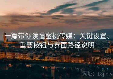 一篇带你读懂蜜桃传媒：关键设置、重要按钮与界面路径说明