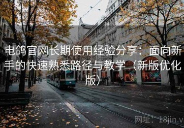 电鸽官网长期使用经验分享：面向新手的快速熟悉路径与教学（新版优化版）