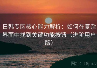 日韩专区核心能力解析：如何在复杂界面中找到关键功能按钮（进阶用户版）