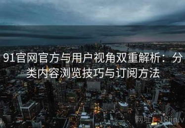 91官网官方与用户视角双重解析：分类内容浏览技巧与订阅方法