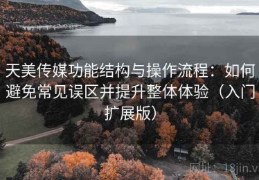 天美传媒功能结构与操作流程：如何避免常见误区并提升整体体验（入门扩展版）