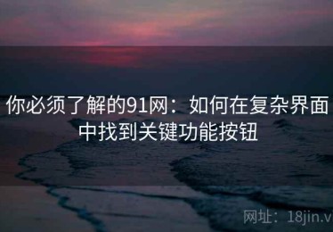 你必须了解的91网：如何在复杂界面中找到关键功能按钮