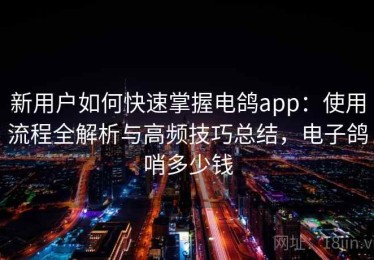 新用户如何快速掌握电鸽app：使用流程全解析与高频技巧总结，电子鸽哨多少钱