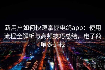 新用户如何快速掌握电鸽app：使用流程全解析与高频技巧总结，电子鸽哨多少钱