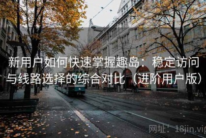 新用户如何快速掌握趣岛：稳定访问与线路选择的综合对比（进阶用户版）