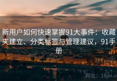 新用户如何快速掌握91大事件：收藏夹建立、分类标签与管理建议，91手册