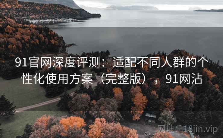 91官网深度评测:适配不同人群的个性化使用方案(完整版),91网沾 91官网深度评测:适配不同人群的个性化使用方案(完整版),91网沾