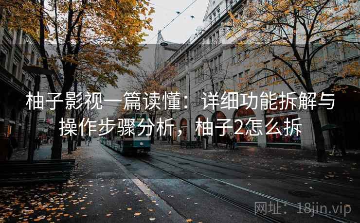柚子影视一篇读懂：详细功能拆解与操作步骤分析，柚子2怎么拆