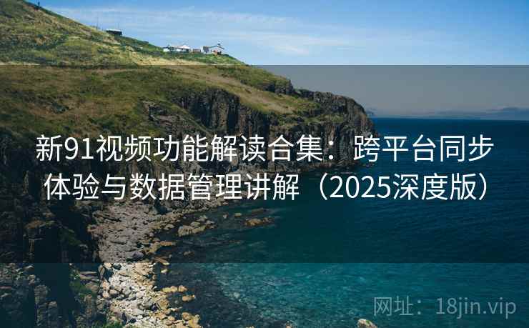 新91视频功能解读合集：跨平台同步体验与数据管理讲解（2025深度版）