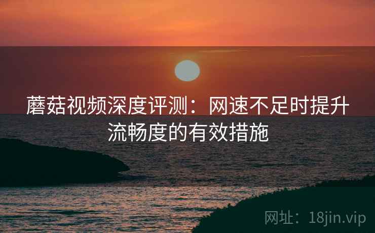 蘑菇视频深度评测：网速不足时提升流畅度的有效措施