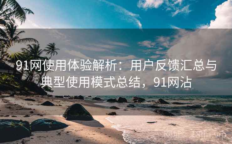 91网使用体验解析：用户反馈汇总与典型使用模式总结，91网沾