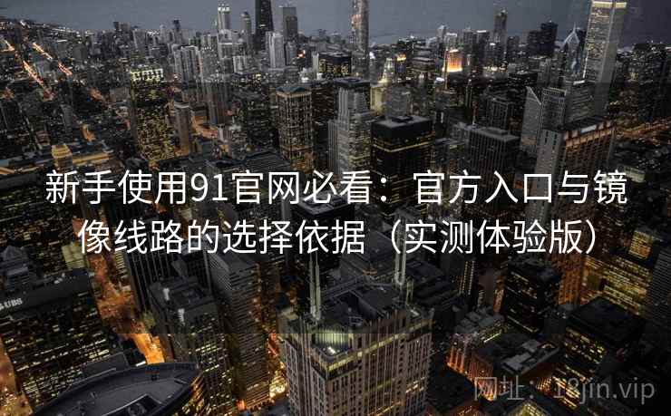新手使用91官网必看：官方入口与镜像线路的选择依据（实测体验版）