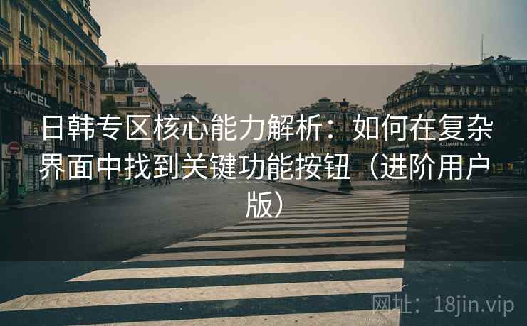 日韩专区核心能力解析：如何在复杂界面中找到关键功能按钮（进阶用户版）