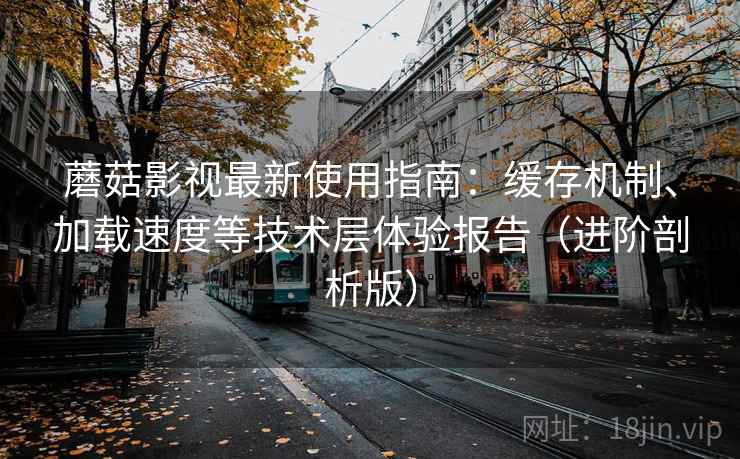 蘑菇影视最新使用指南:缓存机制、加载速度等技术层体验报告(进阶剖析版) 蘑菇影视最新使用指南:缓存机制、加载速度等技术层体验报告(进阶剖析版)