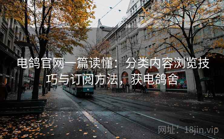 电鸽官网一篇读懂：分类内容浏览技巧与订阅方法，获电鸽舍