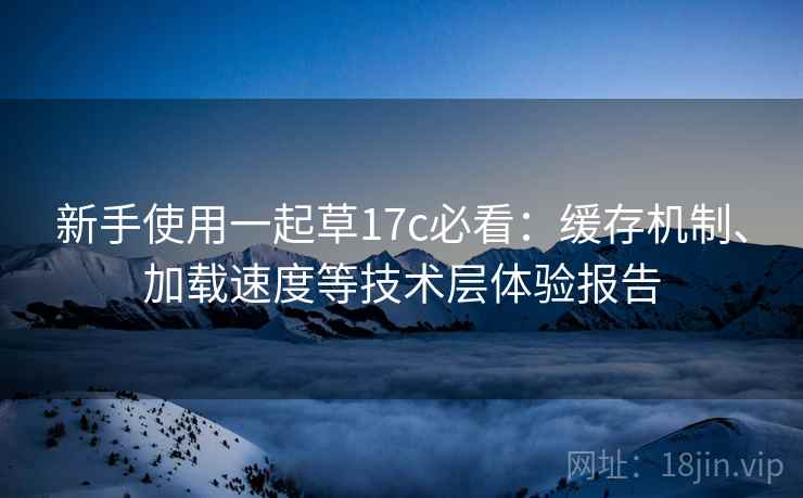 新手使用一起草17c必看：缓存机制、加载速度等技术层体验报告