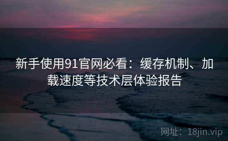 新手使用91官网必看:缓存机制、加载速度等技术层体验报告 新手使用91官网必看:缓存机制、加载速度等技术层体验报告