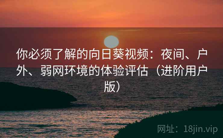 你必须了解的向日葵视频:夜间、户外、弱网环境的体验评估(进阶用户版) 你必须了解的向日葵视频:夜间、户外、弱网环境的体验评估(进阶用户版)