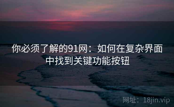 你必须了解的91网:如何在复杂界面中找到关键功能按钮 你必须了解的91网:如何在复杂界面中找到关键功能按钮