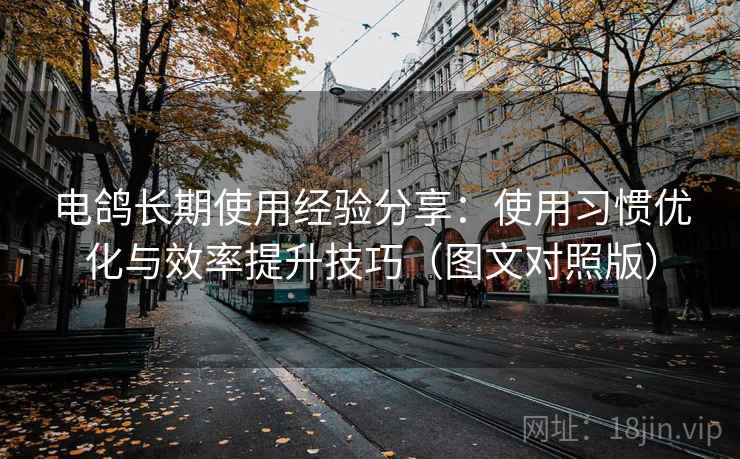 电鸽长期使用经验分享:使用习惯优化与效率提升技巧(图文对照版) 电鸽长期使用经验分享:使用习惯优化与效率提升技巧(图文对照版)