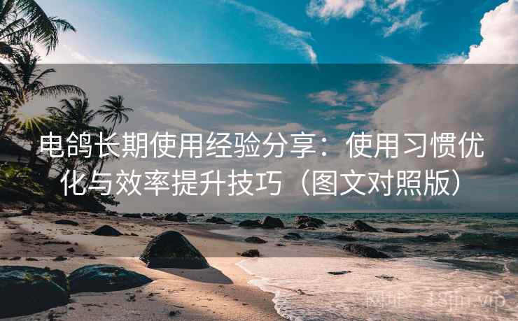 电鸽长期使用经验分享:使用习惯优化与效率提升技巧(图文对照版) 电鸽长期使用经验分享:使用习惯优化与效率提升技巧(图文对照版)