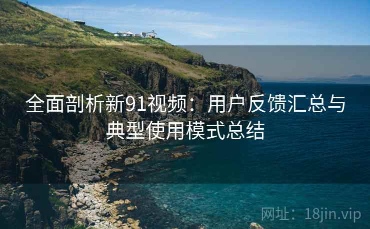 全面剖析新91视频：用户反馈汇总与典型使用模式总结