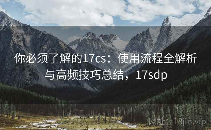 你必须了解的17cs：使用流程全解析与高频技巧总结，17sdp