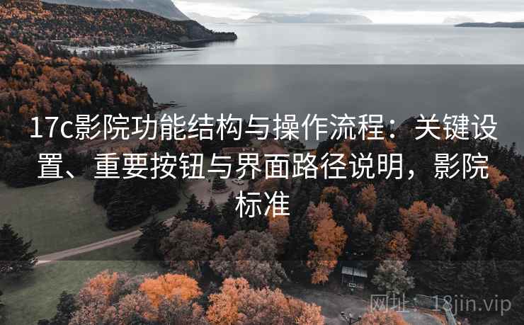 17c影院功能结构与操作流程：关键设置、重要按钮与界面路径说明，影院标准